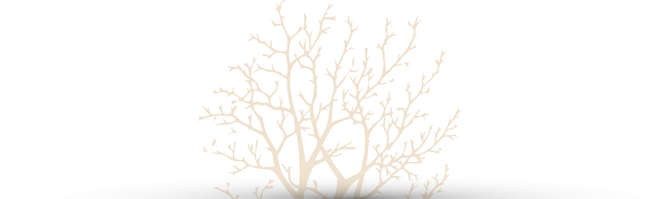 aubépine
