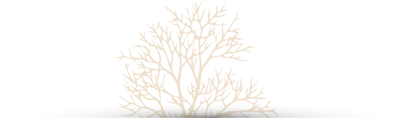 sorbier